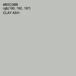 #BEC0BB - Clay Ash Color Image